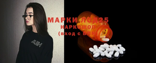 индика Арсеньев