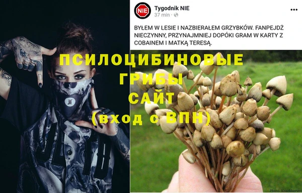 a pvp Армянск
