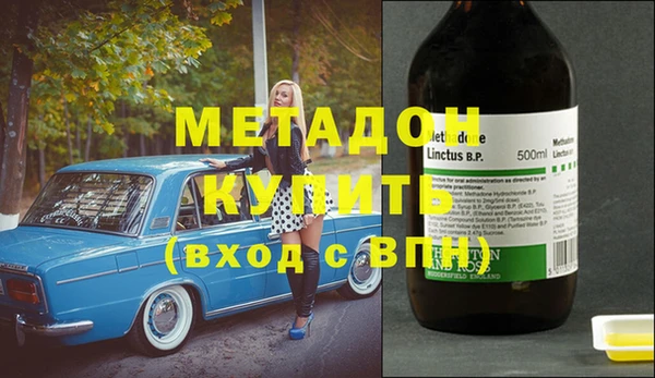 индика Арсеньев