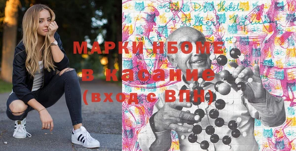 индика Арсеньев
