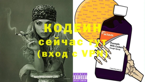 индика Арсеньев