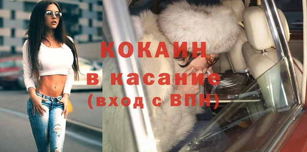 индика Арсеньев