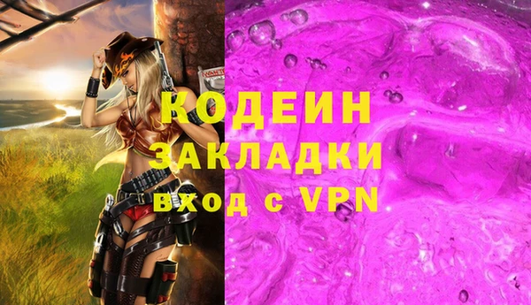 индика Арсеньев