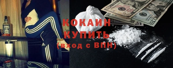 индика Арсеньев